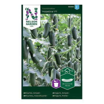 GRÖNSAKSFRÖ NELSON GARDEN GURKA HOPELINE