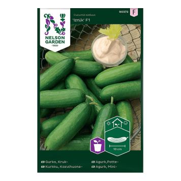 GRÖNSAKSFRÖ NELSON GARDEN GURKA IZNIK MINI