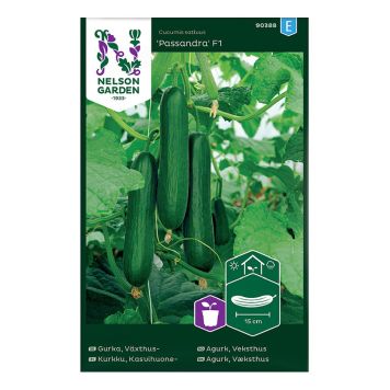 GRÖNSAKSFRÖ NELSON GARDEN GURKA PASSANDRA