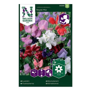 BLOMFRÖ NELSON GARDEN LUKTÄRT ROYAL MIX