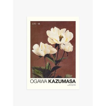 POSTER POSTERY HÆRDACEOUS PEONY BY OGAWA KAZUMASA 50x70CM