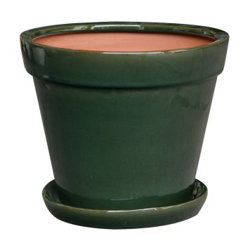 UTOMHUSKRUKA CANNES INKL FAT MOSSGRÖN 17CM 