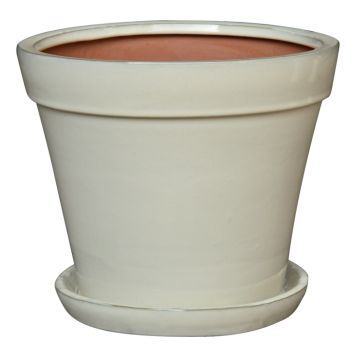 UTOMHUSKRUKA PIARDINO CANNES 17X18CM CRÈME