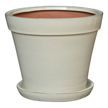 UTOMHUSKRUKA PIARDINO CANNES 17X18CM CRÈME