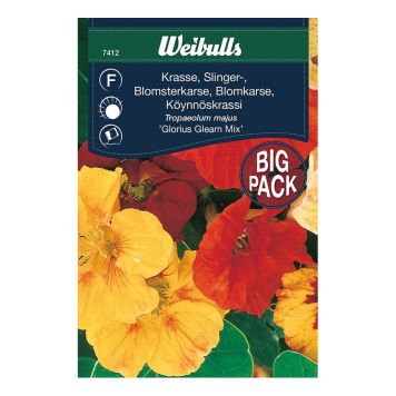 BLOMFRÖ WEIBULLS KRASSE SLINGER STORPORT