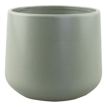 INOMHUSKRUKA PIARDINO LILY SAGE Ø20CM GRÖN