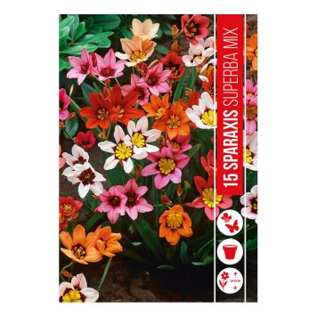 VÅRLÖK SPRAXIS MIX 15ST