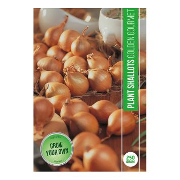 SÄTTLÖK SHARLOTTENLÖK GOLDEN GOURMET 250G