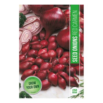 GRÖNSAKSFRÖ RÖD LÖK CARMEN 250G