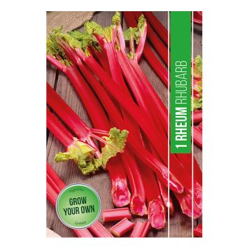 GRÖNSAKSFRÖ RABARBER REHUM 1ST