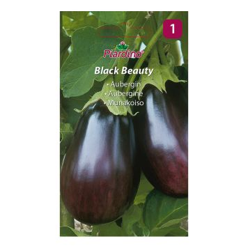 GRÖNSAKSFRÖ PIARDINO AUBERGINE BLACK BEAUTY