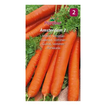 GRÖNSAKSFRÖ PIARDINO MOROT AMSTERDAM