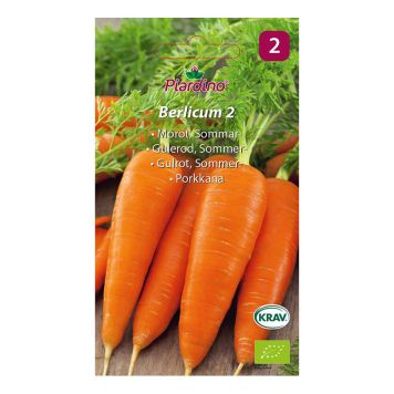 GRÖNSAKSFRÖ PIARDINO MOROT BERLICUM 