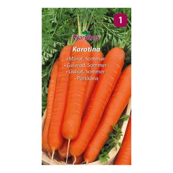 GRÖNSAKSFRÖ PIARDINO MOROT KAROTINA