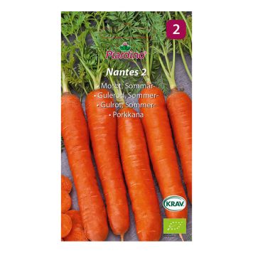 GRÖNSAKSFRÖ PIARDINO MOROT NANTES 2