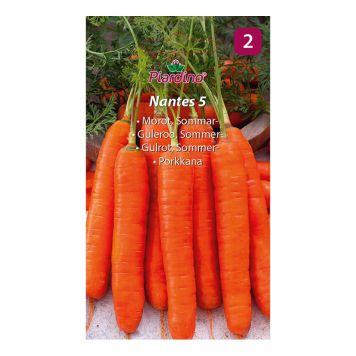 GRÖNSAKSFRÖ PIARDINO MOROT NANTES 5 
