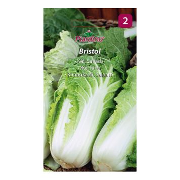 GRÖNSAKSFRÖ PIARDINO SALLADSKÅL BRISTOL