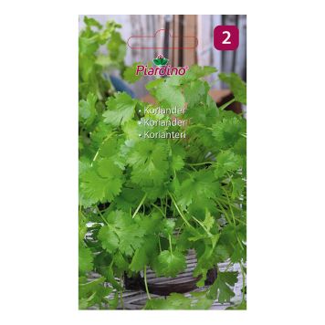 GRÖNSAKSFRÖ PIARDINO KORIANDER