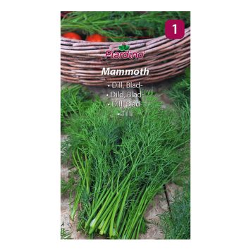 GRÖNSAKSFRÖ PIARDINO DILL MAMMOTH
