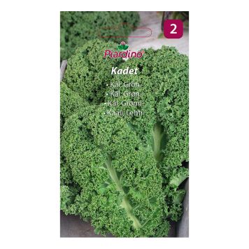 GRÖNSAKSFRÖ PIARDINO GRÖNKÅL KADET