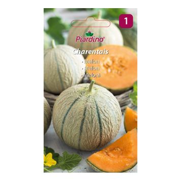 GRÖNSAKSFRÖ PIARDINO MELON CHARENTAIS