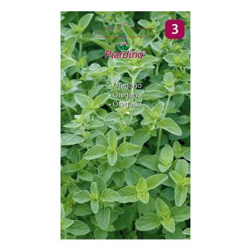 GRÖNSAKSFRÖ PIARDINO OREGANO 