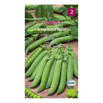 GRÖNSAKSFRÖ PIARDINO ÄRTA TÉLÉPHONE NAIN