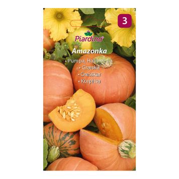 GRÖNSAKSFRÖ PIARDINO PUMPA AMAZONKA