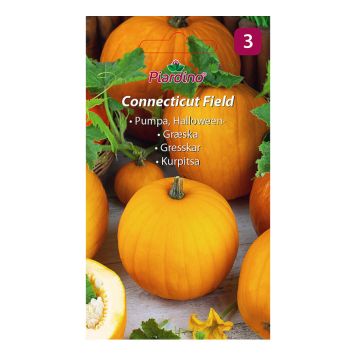 GRÖNSAKSFRÖ PIARDINO PUMPA CONNECTICUT FIELD