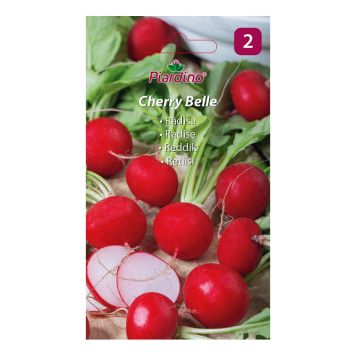 GRÖNSAKSFRÖ PIARDINO RÄDISA CHERRY BELLE