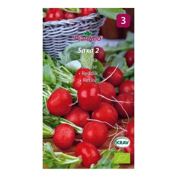 GRÖNSAKSFRÖ PIARDINO RÄDISA SAXA 2 BIO 