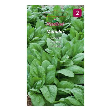 GRÖNSAKSFRÖ PIARDINO SPENAT MATADOR