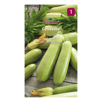 GRÖNSAKSFRÖ PIARDINO SQUASH GENOVESE