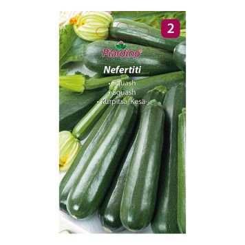 GRÖNSAKSFRÖ PIARDINO SQUASH NEFERTITI