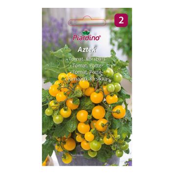 GRÖNSAKSFRÖ PIARDINO TOMAT AZTEK