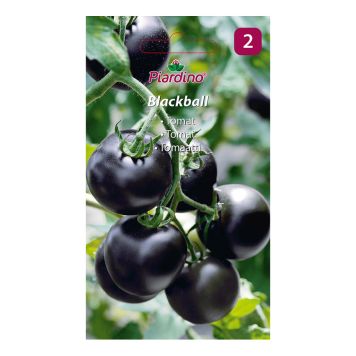 GRÖNSAKSFRÖ PIARDINO TOMAT BLACKBALL