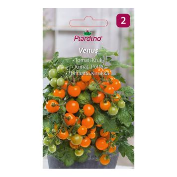 GRÖNSAKSFRÖ PIARDINO TOMAT VENUS 