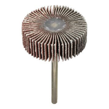 LAMELLSLIPSTIFT RYOBI RAR605 K120 