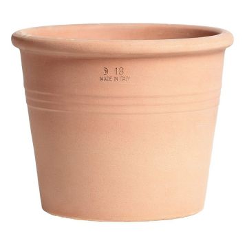 UTOMHUSKRUKA DEGREA CILINDRO ARENA 28CM TERRAKOTTA
