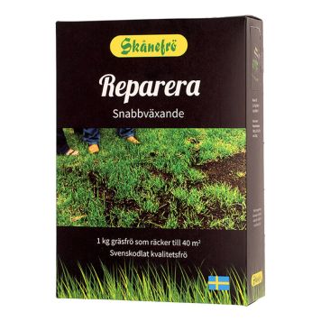 GRÄSFRÖ SKÅNEFRÖ REPARERA 1KG 40M²