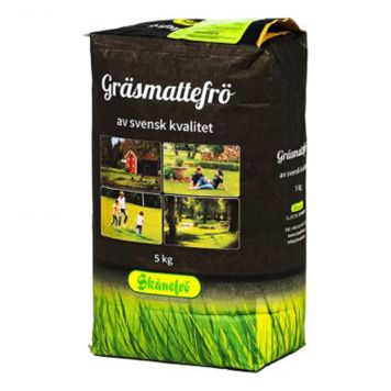 GRÄSFRÖ SKÅNEFRÖ SVINGEL 100 5KG 200M²