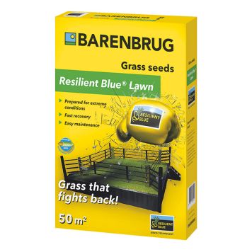 GRÄSFRÖ BARENBRUG RESILIENT BLUE 1KG