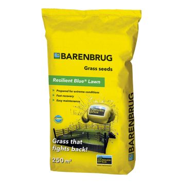 GRÄSFRÖ BARENBRUG RESILIENT BLUE 5KG