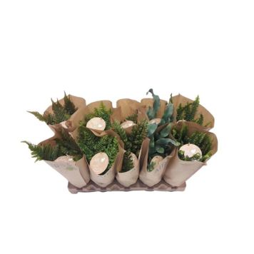 ORMBUNKAR I KRUKA OLIKA SORTER 12CM