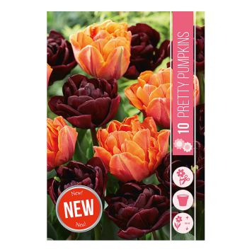 HÖSTLÖK SÖTA PUMPOR 7ST