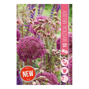 HÖSTLÖK MYSTISK MELODI 10ST