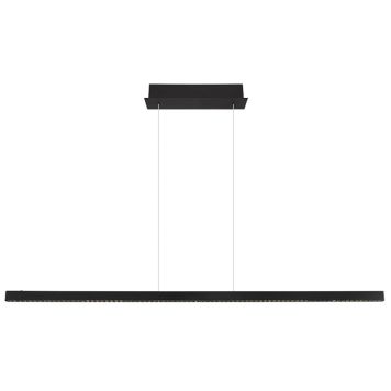 TAKLAMPA GLOBO DENTSY 150CM SVART