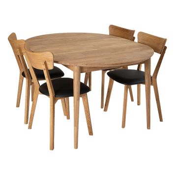 MATGRUPP STENEXPO ALBORG + 4 STOLAR VÄXJÖ OLJAD EK 