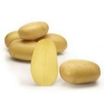 SÄTTPOTATIS STUBBETORP QUEEN ANNE 3KG TIDIG