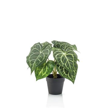 KONSTVÄXT EMERALD ANTHURIUM 23CM                                 